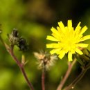 계룡초등학교병설유치원 이미지