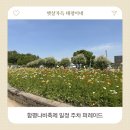 공주축산업협동조합 | 함평나비축제 나들이 먹거리장터 함평한우 나빛파크 주차 후기