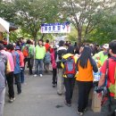 광천 오서산 억새등반과 토굴새우젓축제 이미지