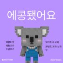 (주)메타크래프트 | [에콩이 7기] 에콩이의 에듀코카 수강 후기📚 (+ 도티&amp;이사배 콘텐츠 제작 노하우)