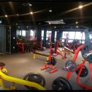 디케이휘트니스 이미지