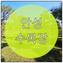 영동식당 휴게실 | 안성 수목장 분양가 궁금하다면? 가격보다 먼저 확인해야 할 핵심 포인트