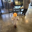 청주 실내 동물원 애니멀빌리지 후기