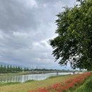 서시천자전거길1 이미지