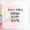 하나사랑동물병원 네이버블로그