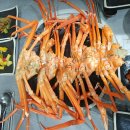 마산회원구 ⓒ-27 이미지