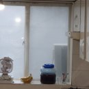 들국화노래연습장 이미지