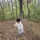 운치있는 가을 날 아침 산책 이미지