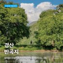 경산 반곡지 | 100년 넘은 왕버들 아래, 초여름 산책하기 좋은 명소