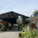 남기동길 | 밀양 남계농원 솔직 리뷰｜인생오리백숙 내돈내산