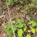 기암1리 이미지