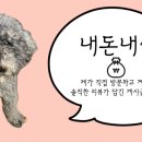완미족발 진천점