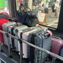 성산읍 창명빌라 앞 | 제주도 2박3일 부모님 코스추천 성산일출봉, 천지연폭포, 정방폭포,만장굴, 길갈팜랜드,홀릭뮤지엄,돌담...
