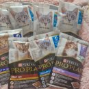 이벤트플랜 | 네슬레 퓨리나 프로플랜 습식&amp;건식 이벤트 당첨 후기