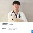 블레스동물메디컬센터 | 24시블레스동물메디컬센터 / 강아지 건강검진 후기 / 용인 동백 동물병원