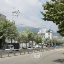 허당로 이미지