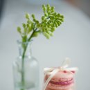 아이디어플라워 이미지