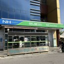 포천 계곡 도마치캠핑장 너른자리 후기 - 사이트 총정리 및 명당 추천