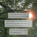롯데프라자 | [2602] 오히려 좋아 (ˊᵒ̴̶̷̤ ꇴ ᵒ̴̶̷̤ˋ)و