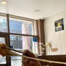 반포대로30길 47 (1) | 교대역 돈까스맛집 카츠공방 교대점 재방문 후기