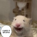 밥도둑 이미지