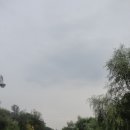 시청남로 이미지