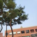 대전과학기술대학교양지관 이미지