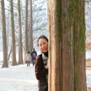 초심가든 이미지