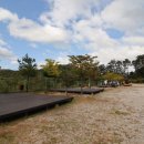 예손농원캠핑장 이미지