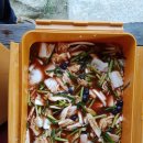 회원농장 이미지