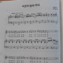 비온뒤 숲속약국 이미지