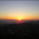 아화1리 | [낙동정맥 9] 당고개→숲재→아화고개→한무당재(09.02.21)