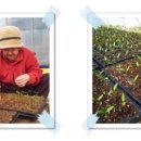 지전농장 이미지