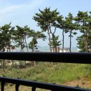 언덕위에펜션 - 울릉군 울릉순환로 156-7 | 언덕위에펜션