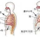 위니드필라테스