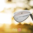 오퍼스홀 이미지