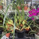 산호동486 이미지