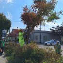 금광파출소 이미지