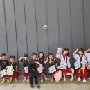 보령 품태권도 이미지