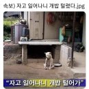 효자4동-07(교촌치킨 앞) | 많은 것을 모르려 들었나봐. 이제와 머리가 터질 것 같아, 이런 날 어떻게 사랑해?