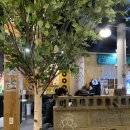 친친포차강릉점 이미지