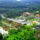 치유의 숲 야영장 이미지