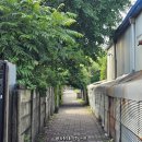 애니텔 | 2025 대전 꿈돌이 짱구 팝업스토어 오픈런 및 방문후기(+주차 및 기차)