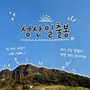 제주 성산일출봉 후기 등산코스 난이도 정상뷰 + 한라봉 아이스크림까지 완벽 정리