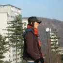 민들레영토
