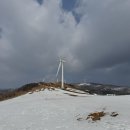 선 목장 이미지