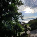 마니꼴똥돼지 펜션 이미지