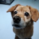 시간의 온기 이미지