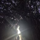 작동농장 | 아이와 제주 귤따기 체험 입장료 없는 로컬 감귤농장 후기