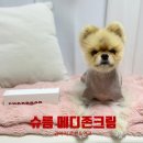 메디존 | [슈룹] 강아지 보습크림 추천 메디존크림으로 문제성피부 집중케어 강아지알로페시아케어